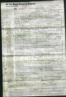 Court of Common Pleas - Elizabeth Wilkins-Original Ancestry