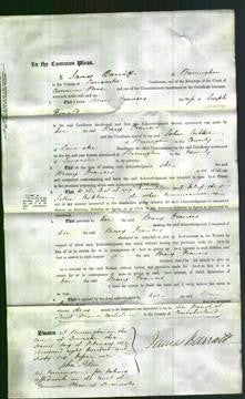 Court of Common Pleas - Mary Frances Donald-Original Ancestry