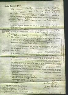 Court of Common Pleas - Emma Maria Hanson Gronow-Original Ancestry