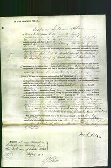 Court of Common Pleas - Emily Sex and Mary Provis-Original Ancestry