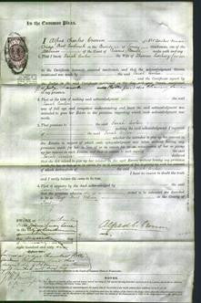 Court of Common Pleas - Sarah Cowlin-Original Ancestry