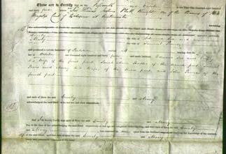 Deed by Married Women - Emily Sex and Mary Provis-Original Ancestry