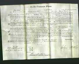 Court of Common Pleas - Elizabeth Kirkby and Margaret Park-Original Ancestry