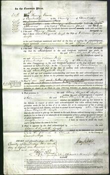 Court of Common Pleas - Ann Elizabeth Ingle-Original Ancestry
