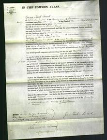 Court of Common Pleas - Elizabeth Ward-Original Ancestry