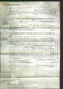 Court of Common Pleas - Betty Dutton-Original Ancestry