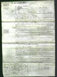 Court of Common Pleas - Harriet Matthews-Original Ancestry