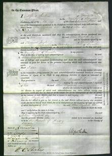 Court of Common Pleas - Ellen Elizabeth Lee-Original Ancestry