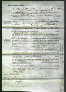 Court of Common Pleas - Elizabeth Ann Williams-Original Ancestry