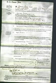 Court of Common Pleas - Emma Millington-Original Ancestry