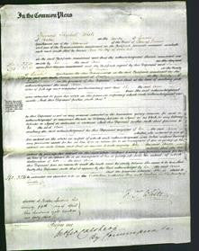 Court of Common Pleas - Ann Ebb-Original Ancestry