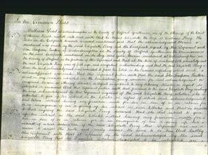 Court of Common Pleas - Elizabeth Perry-Original Ancestry