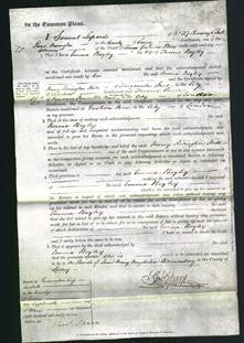 Court of Common Pleas - Emma Bayley-Original Ancestry