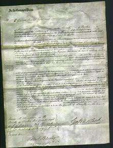 Court of Common Pleas - Emily Gibbs-Original Ancestry