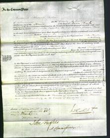 Court of Common Pleas - Margaretta Jannetta Davies-Original Ancestry