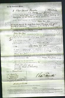 Court of Common Pleas - Mary Ann Jane Dowling-Original Ancestry