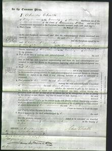 Court of Common Pleas - Jane Bear-Original Ancestry