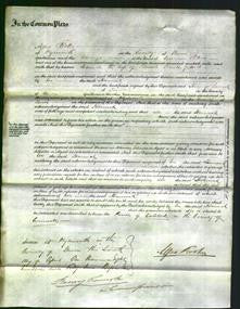 Court of Common Pleas - Hannah Gribbell-Original Ancestry