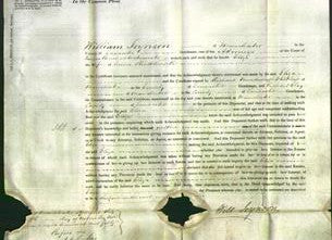 Court of Common Pleas - Eliza Shuttleworth-Original Ancestry