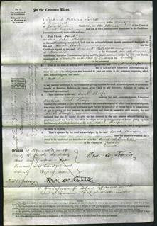 Court of Common Pleas - Sarah Sharpe-Original Ancestry