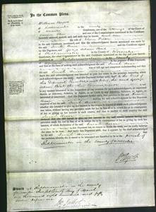 Court of Common Pleas - Sarah Ann Felton-Original Ancestry