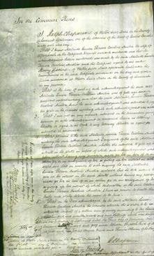 Court of Common Pleas - Adelaide Louisa Theresa Caroline Amelia Smith-Original Ancestry