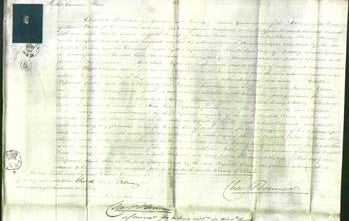 Court of Common Pleas - Elizabeth Evison-Original Ancestry