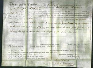 Deed by Married Women - Catharine Greader-Original Ancestry