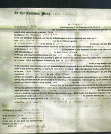 Court of Common Pleas - Alice Bruce-Original Ancestry