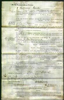 Court of Common Pleas - Catharine Merters-Original Ancestry