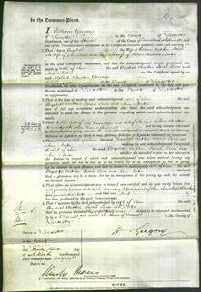 Court of Common Pleas - Elizabeth Rudkin, Sarah Toone and Ann Norton-Original Ancestry