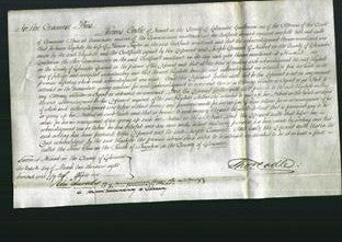 Court of Common Pleas - Elizabeth Taylor-Original Ancestry