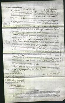 Court of Common Pleas - Mary Dalton-Original Ancestry