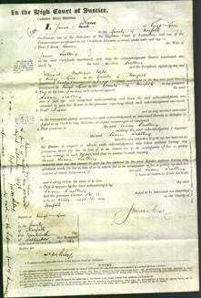 Court of Common Pleas - Susan Snelling-Original Ancestry