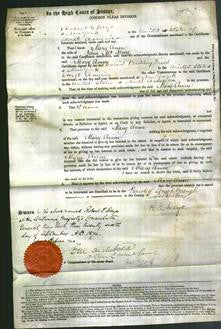 Court of Common Pleas - Mary Anne McHioy-Original Ancestry