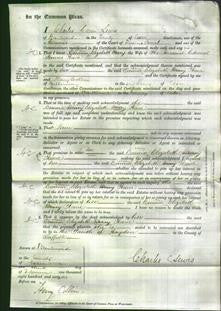 Court of Common Pleas - Emma Mary Elizabeth Reeve-Original Ancestry