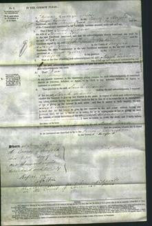 Court of Common Pleas - Sarah Eleanor Tice-Original Ancestry