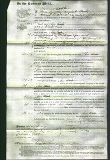 Court of Common Pleas - Ann Dale-Original Ancestry