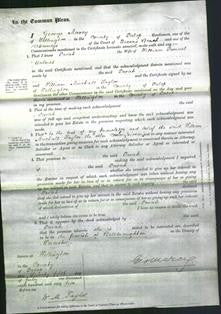 Court of Common Pleas - Sarah Holmes-Original Ancestry