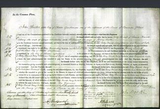 Court of Common Pleas - Betsy Bairsto, Mary Nicholas and Susannah Dyke-Original Ancestry