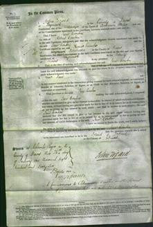 Court of Common Pleas - Jane Comben-Original Ancestry