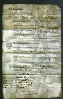 Court of Common Pleas - Lucy Dunne-Original Ancestry