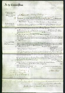 Court of Common Pleas - Emma Isabella Dando-Original Ancestry