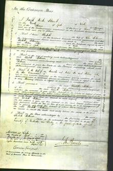 Court of Common Pleas - Elizabeth Wilkinson-Original Ancestry