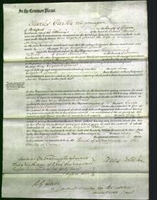 Court of Common Pleas - Lucy Elizabeth Deane-Original Ancestry