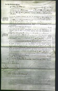 Court of Common Pleas - Emily Mary Challice-Original Ancestry