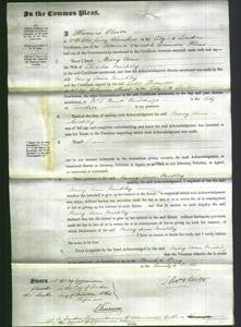 Court of Common Pleas - Mary Ann Mickley-Original Ancestry