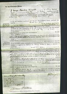 Court of Common Pleas - Ann Jackson-Original Ancestry