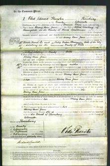 Court of Common Pleas - Mary Ann Jane Dowling-Original Ancestry