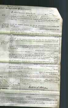 Court of Common Pleas - Maria Pawley-Original Ancestry